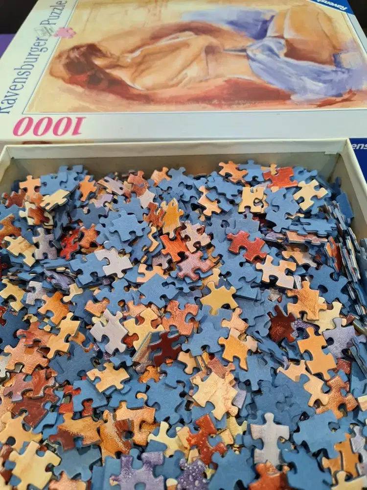 Jasa Pemasangan Puzzle 1000 pcs