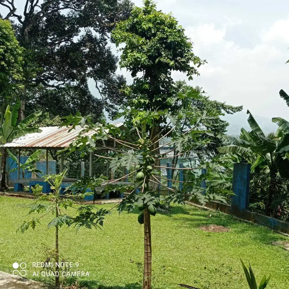Dijual 4000 m2 AJB Di Lebak Pari