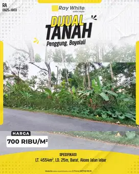 Tanah Kebun Luas 4554m² di Penggung Boyolali, Lebar 25m