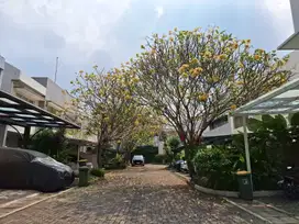 DIJUAL RUMAH SIAP CANTIK Di CASA ROYAL - CIPETE Lokasi STRATEGIS