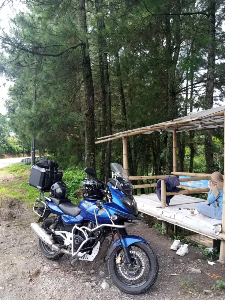 Pulsar 220 th 2011
