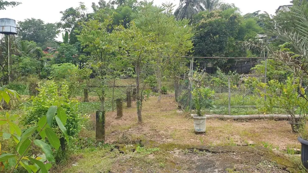 Tanah Di Lokasi Strategis Dekat Puspitek Serpong Cocok Untuk Hunian