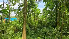 Dijual Lahan di Bandung Barat.Pinggir jalan Cipeundey Cikalong.