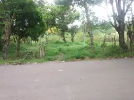 Tanah 5000 m² Cocok Villa / Bisnis Kawasan Wisata Pelabuhan Ratu