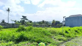 Tanah Malang 5 Menit Kampus UMM cocok dijadikan Rukost