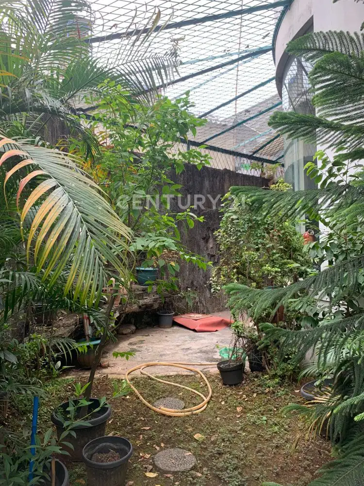 Rumah Panjang Jembatan Lima Di Jalan Utama - 5