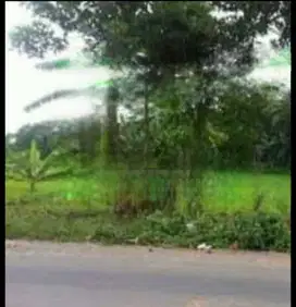 JUAL TANAH KOSONG JL. RAYA PARUNG PANJANG BOGOR 30 X 291m IR