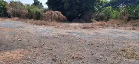 TERMURAH LAHAN  NOL JALAN MASTRIP HANYA 6JT PER METER