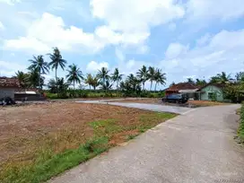 Dijual Tanah Strategis Soropadan Dekat Kampus UNY Wates Jogja