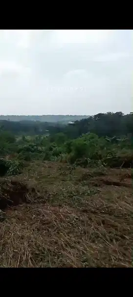 Di Bogor Latar Pegunungan, Udara Bersih Sejuk , Cocok Buat Invest