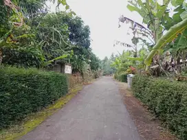 Dijual Tanah Pekarangan di Moyudan