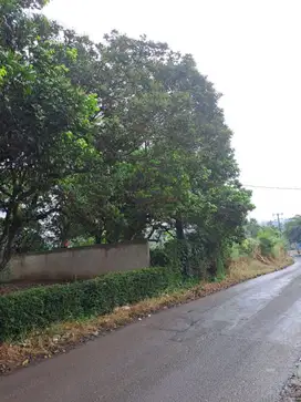 Tanah Akses Jalan 2 Mobil Di Cibungbulan Bogor S6766