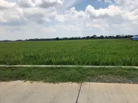 Jual Tanah Seluas 14.174 m2 di Karangsambung, Majalengka