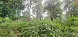 Sewa Tanah Luas Cocok Untuk Bisnis di Tb Simatupang