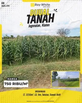Dijual Tanah Sawah Luas 2230m² di Jogonalan, Klaten