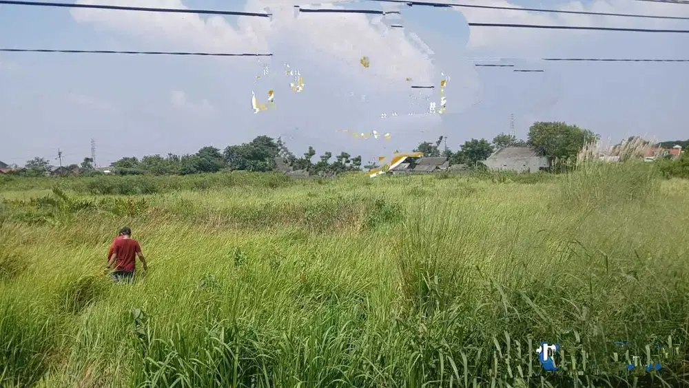 Dijual Tanah  Di Sukatani, Tambelang-Cikarang