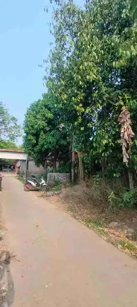 JUAL TANAH DI PINGGIR JALAN RAYA