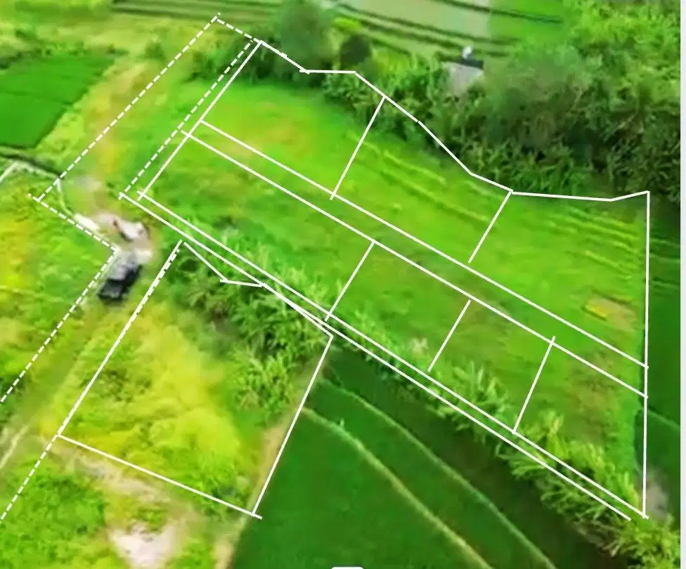 Tanah kavling view sawah zona pemukiman pantai kedungu badung bali