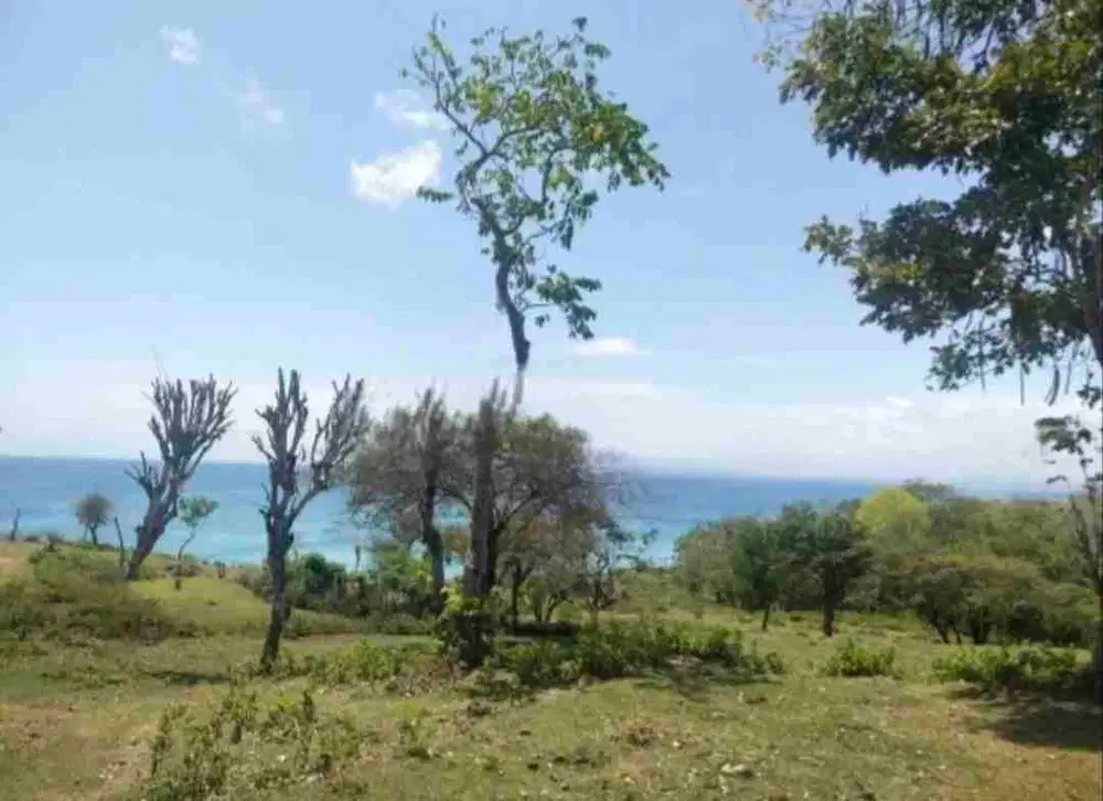 Tanah Kavling langka Near the cliff dekat Jumeirah Pantai Bingin pecatu