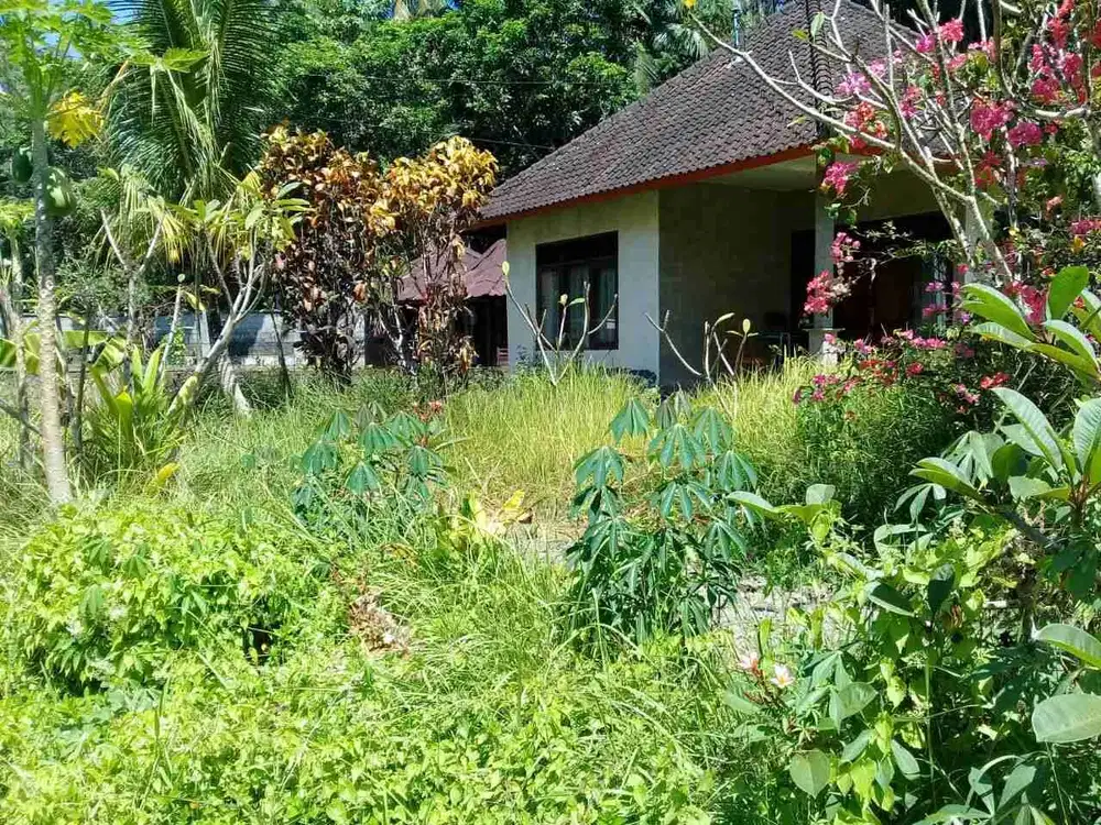 Hidden Gem Land  affordable  price Price Pinus Lodtunduh Ubud Bali