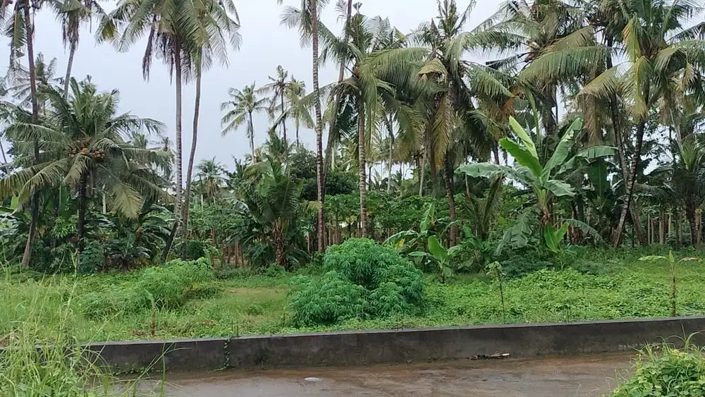 Tanah strategis  cocok untuk villa Pura Anyar Blahbatuh Gianyar Bali