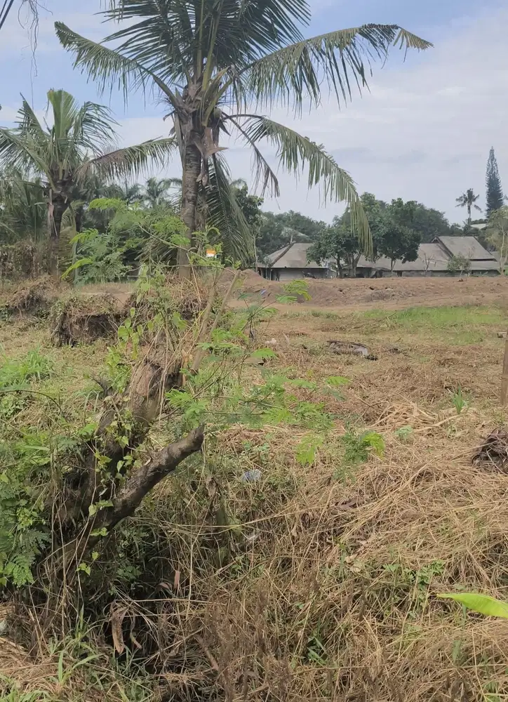 Tanah Zona pemukiman Raya Angantaka Singapadu sukawati bali