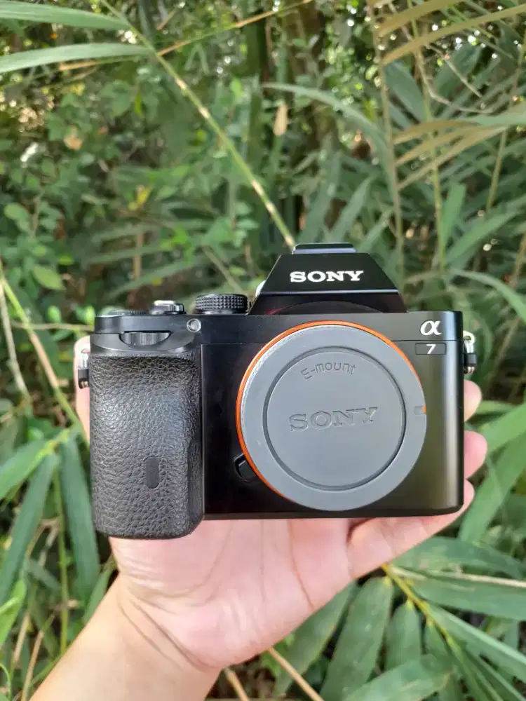 Bo sony a7 muluss
