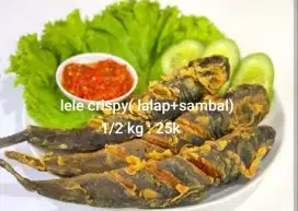 Paket lele cripsy