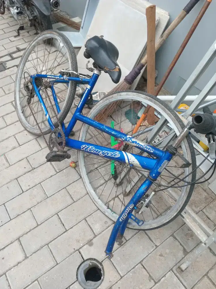 Sepeda wimcycle starlite
