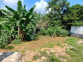 Murah dijual tanah bonus bangunan tua mulawarman cocok untuk kos undip