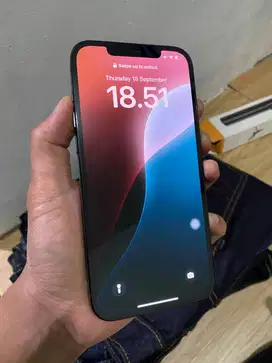 iPhone 12 Pro Max iBox