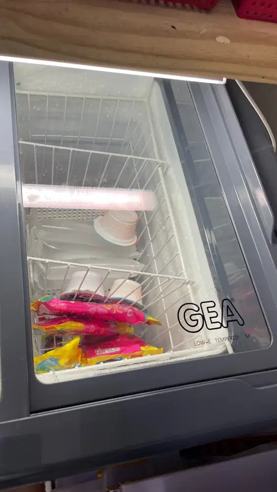 Freezer GEA 100 Liter