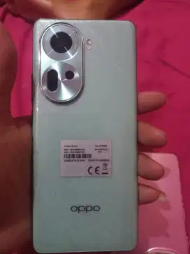 oppo reno 11 5G 8/256