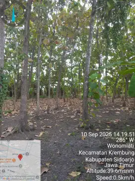 Jual Tanah Pekarangan SHM (TANPA PERANTARA)