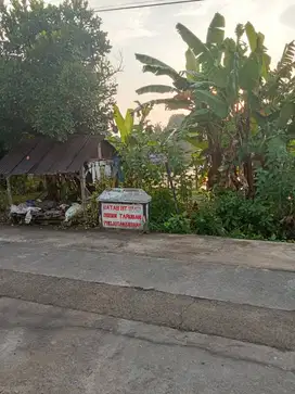 Sawah 800 m2 Jalan Parangtritis Km 4.5