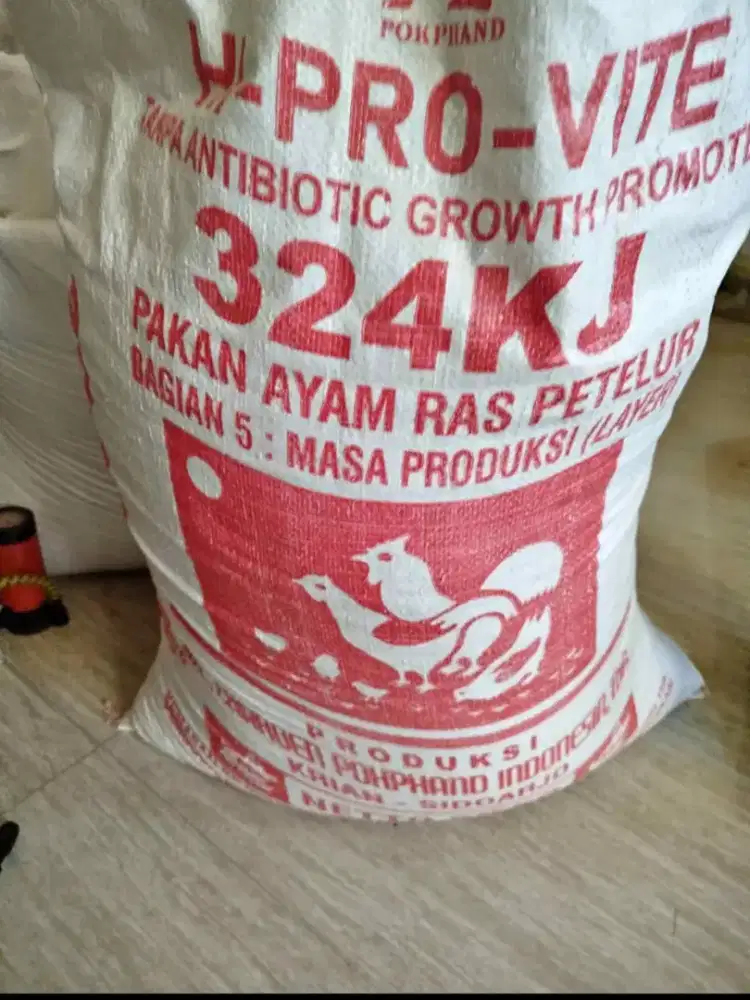 Pakan ayam petelur