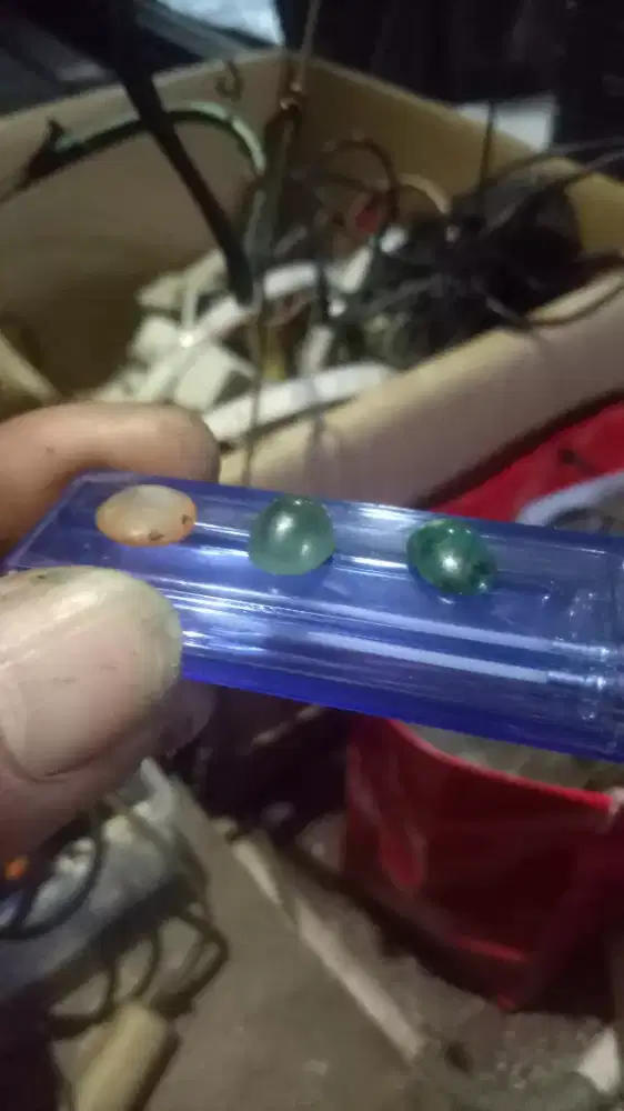 bacan ijo garut kalimaya