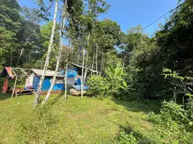 Tanah dan Peternakan Broiler