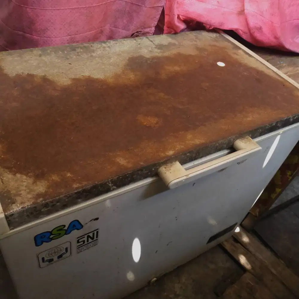 Freezer RSA 310 L