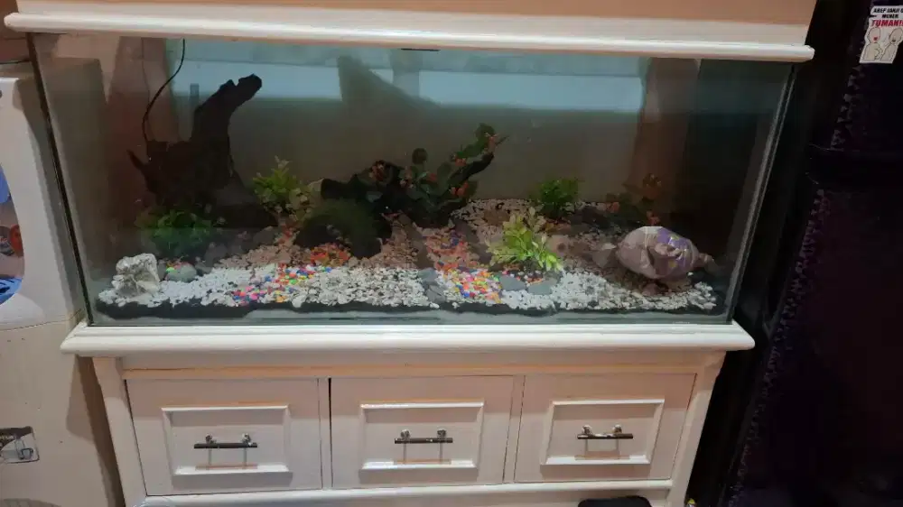AQUARIUM IKAN HIAS