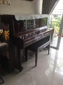 Piano legendaris for sale brand Ritmueller