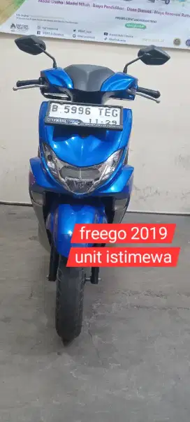 Freego 2019 low km gressss