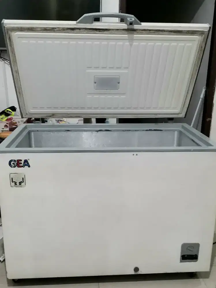 Freezer Box GEA 330 Lt ex Frozen Food