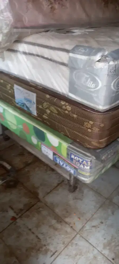 Kasur busa speeng bed
