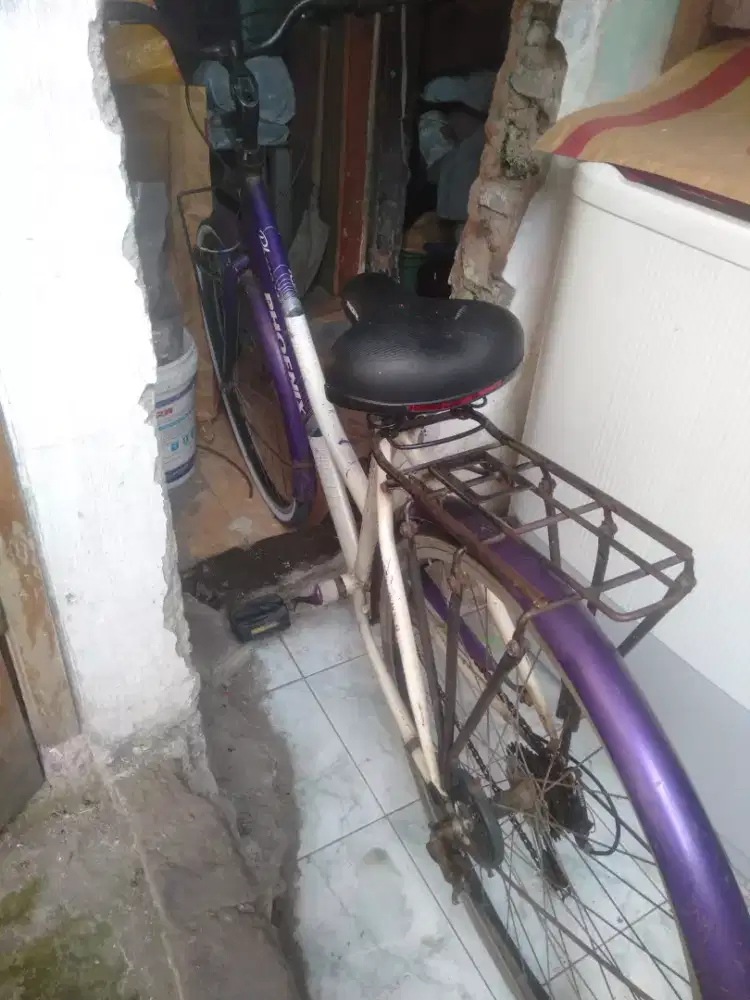 Sepeda phoenix jual aja dari pada gak kepakai