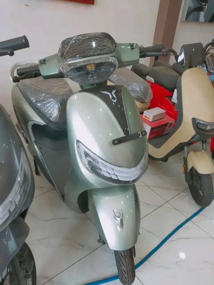 sepeda listrik t85
