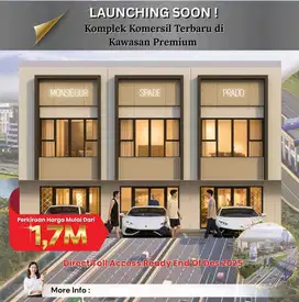 ruko baru paramount petals