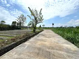 Cocok Bangun Hunian, Tanah Pekarangan Murah Sleman
