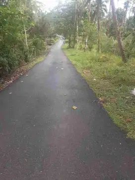 Tanah kebun 15 Ha, batukaras pangandaran