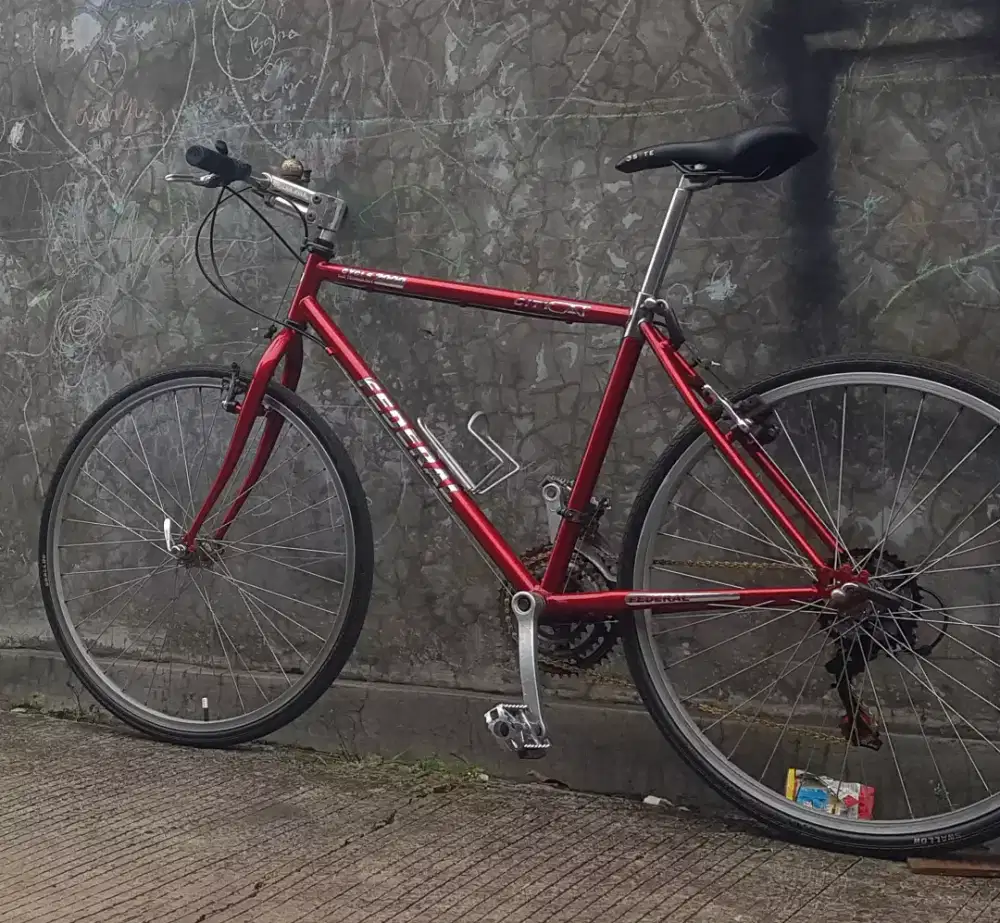 Fedral vinteg roadbike kalcer